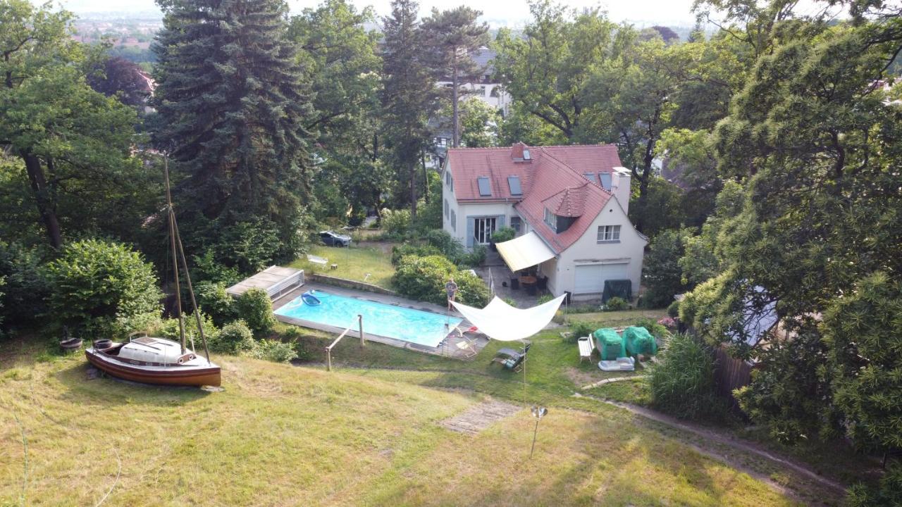 Villa Im Park Wachwitzgrund Dresden Exterior photo